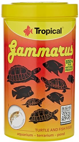 Fischfutter Tropical Hummer – getrocknete Süßwasser Garnelen – Schildkröte und Fischfutter