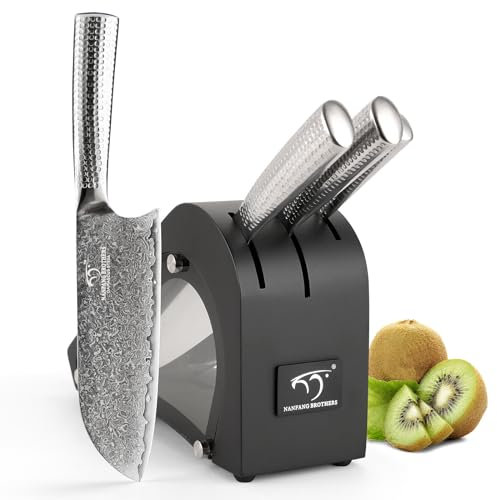 NANFANG BROTHERS Juego de cuchillos de cocina Damasco acero VG10 67 capas Superior, cuchillo de chef Damasco con mangos martillados y bloque de madera-negro