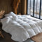 GDFP Daunendecke 155x220, 80% Daunen und 20% Federn, Maschinenwäsche, Bettdecke 155x220 daunen, Wärmeklasse: warm, für Allergiker geeignet, Füllgewicht 1200g, Weiß