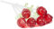 ​Home Essentials Lifelike Glass Roses Bouquet Red,6 Roses,12 inch