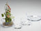 sandrarich-terrinaredondacristal16 X 8HE. 12 (704016)