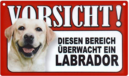 Spaß Kostet Türschild Warnschild Labrador