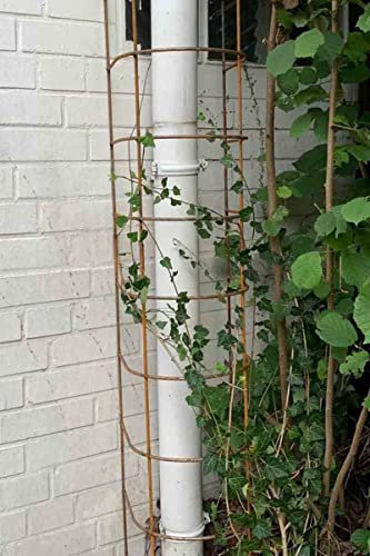 KUHEIGA Steckzaun Rankgitter Rost aus Metall für Fallrohr H: 193cm B: 30cm Rankhilfe