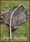 Battle Merchant Wikinger Langbogen, 70 Zoll Hellbraun, inklusive Sehne - 15-105 lbs - Mittelalter - LARP - Wikinger Bogen (35 lbs)