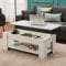 Panana Lift Up Top Coffee Tables with Hidden Storage and Shelf Modern Rectangle Sofa Side End Table for Living Room Office Furniture W 100 * D 50 * H 47cm (White)