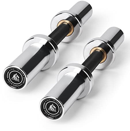 LIONSCOOL Hantelstangen im 2er-Set, 40,6/50,8 cm, robuste Olympische Kurzhantelstangen für Krafttraining, passend für 5 cm Gewichtsscheiben (Silber-Chrom, 40,6 cm)