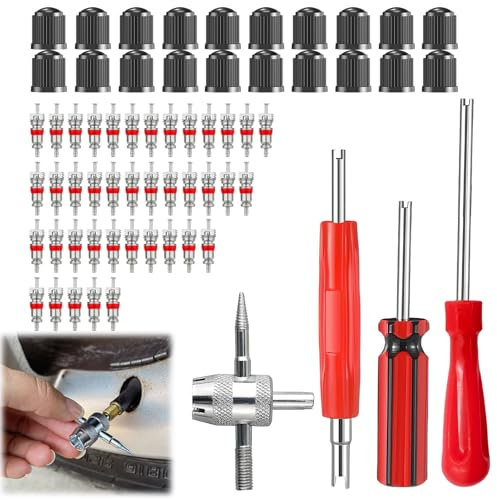 Kit de démontage de valve de pneu 64 pièces avec 40 noyaux de valve Schrader, 20 bouchons de valve et 4 outils de démontage, convient pour voitures, motos, vélos, camions et SUV, durable,