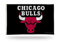 Rico Industries NBA einseitige Wimpelkette mit Ösen, 90 x 150 cm