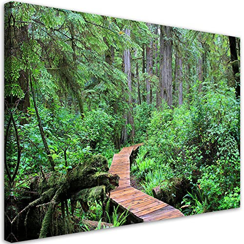 Feeby Vlies Leinwandbild - Wohnzimmer Vlies Bilder - Regenwald Brücke - 45x30 1tlg - Deko Schlafzimmer - Dekoration - Aesthetic Leinwanddruck - Moderne Bild - Foto auf Leinwand