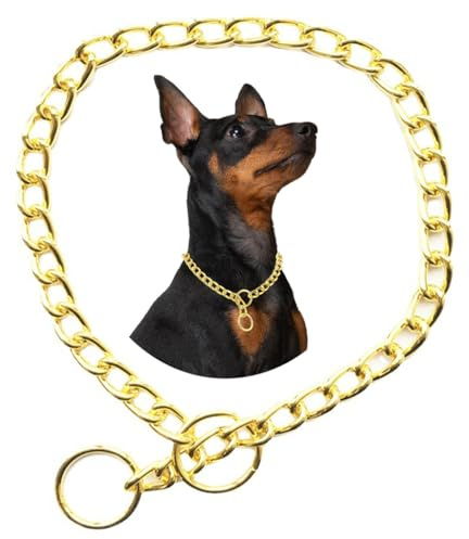 Chain Dog Collar For Large Dogs, Golden L Metal Slip Link Training Heavy Duty Dog Collar Martingale Puppy Collars For Small Medium Large Big XL Breed Dogs