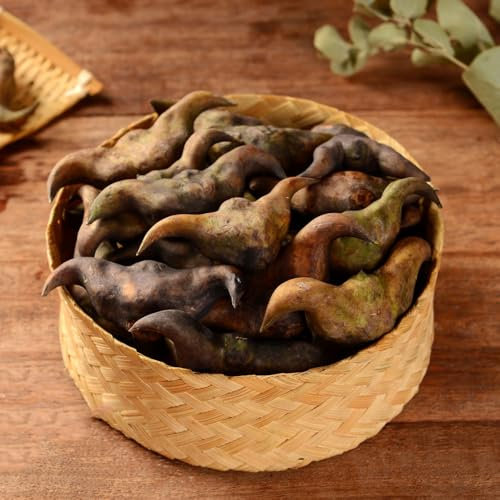 Pianta di castagna d'acqua - semi piante decorative semi di piante da appartamento ortaggi decorative per balconi aiuola rialzata da balcone, giardino interno vaso per frutto a 300pcs