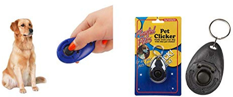 PMS DOG TRAINING CLICKER ON KEY RING ON SLIDE ON CARD