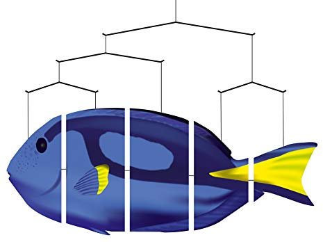HQ HIGH QUALITY DESIGN Windspiration - Ocean Mobile: Blue Tang, UV-beständige und wetterfeste Windspiel Deko für Garten, Terrasse und Balkon, komplett montiert - L50xT85cm, inkl. Aufhängung