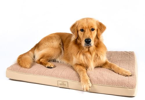 Doghouse Premium Hundebett Mittelgrosse Hunde 100x65x9cm Hundematte Waschbar, Hundekissen flauschig, Hundematratze für Mittelgrosse Hunde in Beige