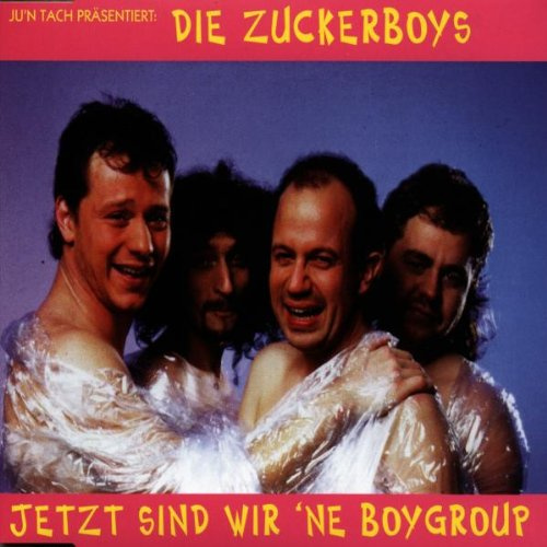 Jetzt Sind Wir 'Ne Boygroup
