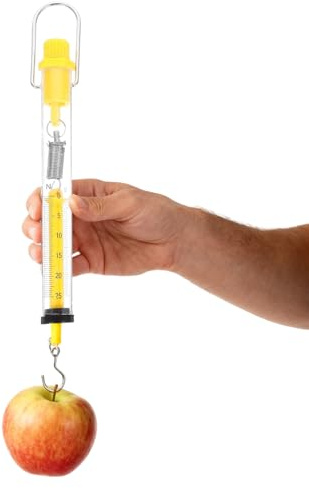 Dinamometro fisico – 25 x 2,5 x 2,5 cm, a molla compatta, strumento di misurazione in metallo, strumento preciso con carico 2,5 N, attrezzature scientifiche di laboratorio per esperimenti