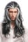 WIG ME UP - 29938B-ZA103-ZA60 Perücke Herren Damen Karneval Halloween Lange Mähne Schwarz-Weiß-Mix Grau Gesträhnt Dunkler Vampir Fürst Dracula 55 cm