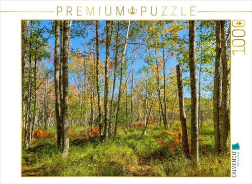 CALVENDO Puzzle Wälder im Acadia National Park | 1000 Teile Lege-Größe 64 x 48 cm Foto-Puzzle für glückliche Stunden