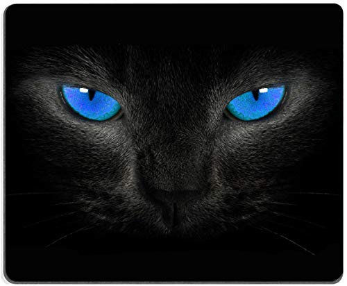 Tapis de souris - Motif chat cool - Yeux bleus - Tapis de souris de jeu carré étanche - Base en caoutchouc antidérapante - Pour bureau, maison, ordinateur portable, voyage - 24,1 x 20,1 x 0,3 cm
