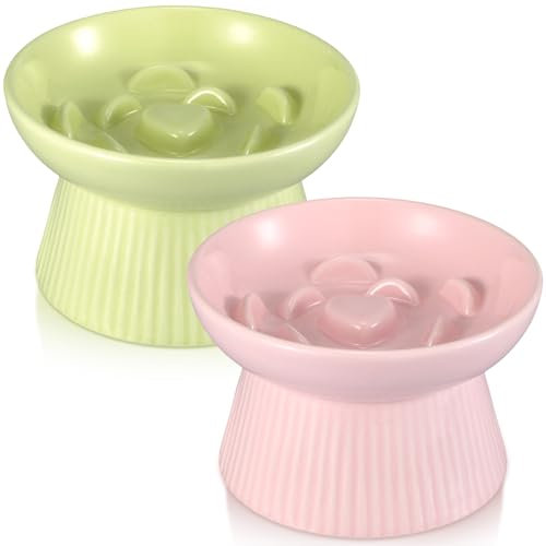 Layhit 2 Pack Raised Slow Feeder Cat Bowls Ceramic Elevated Cat Food Bowls Anti Vomiting Slow Feeder for Dog and Kitten for Dry and Wet Food(Green, Pink)