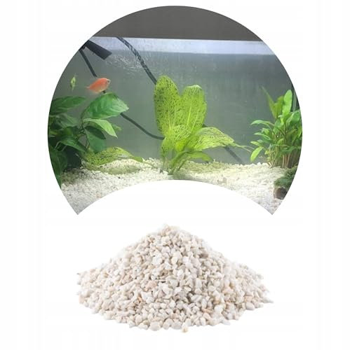 TD STONES Malawi Kies Weiß Dolomit 2kg 1-4mm – pH-stabilisierender Naturkies für Biotop-Aquarien, Fische & Garnelen – Dekorativer, schadstofffreier Bodengrund für Pflanzen, Aquascaping & Aquariendeko