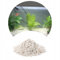 TD STONES Malawi Kies Weiß Dolomit 2kg 1-4mm – pH-stabilisierender Naturkies für Biotop-Aquarien, Fische & Garnelen – Dekorativer, schadstofffreier Bodengrund für Pflanzen, Aquascaping & Aquariendeko