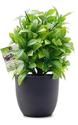 OFFIDIX Mini Plastic Eucalyptus Artificial Plants with Vase for Office desk, home and friends’ gift Fake Plant with Plastic Pots for Home Decoration (Green)