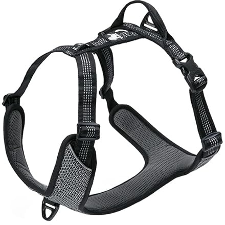 Truelove No-Pull Highly Reflective Breathable Dog Harness, Black, M | Full Reflective Straps & Main Body, 2 Lead Rings, Durable for Medium & Large Dogs, Adjustable, Outdoor Walking, TLH6071