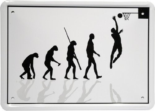 WOGEKA ART Retro Blechschild - Evolution Basketballer - witziger Spruch als Geschenk-Idee zum Geburtstag Weihnachten zur Dekoration 15x21 cm Vintage-Design aus Metall MJ MJ 65