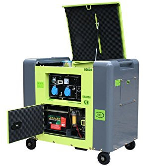 Generador eléctrico diésel insonorizado tipo Panda grupo electrógeno 5.5kW 230V