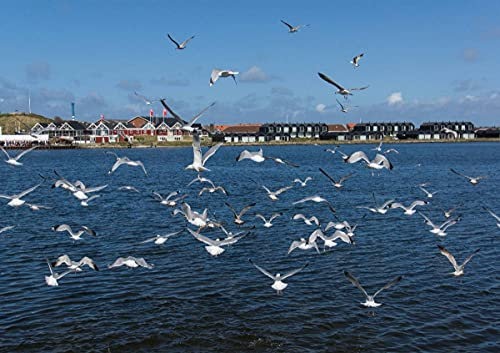 CALVENDO Poster 84,1 x 59,4 cm Querformat Hafen in Hvide Sande, Poster DIN A1 quer| Bilder, Kunstdruck, Wandbild, Wanddeko, Prints ohne Rahmen