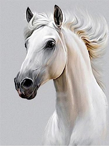 Artnapi Malen nach Zahlen Erwachsene mit Rahmen | DIY Handgemalt | Tiere - Weißes Pferd | Kit für Anfänger und Erwachsene | Set inklusive Acrylfarben & Pinsel | 40x50cm Leinwand | Ideal als Geschenk