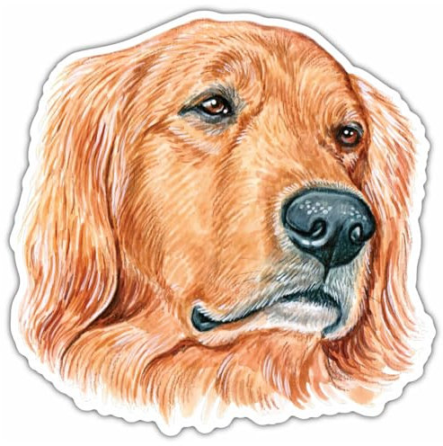 Samunshi® Lustiger Golden Retriever Aufkleber Car Decal Sticker für Mofa Fahrrad Roller oder Auto Sticker Fahrrad Mtb Mountainbike Rennrad Hund Dog Dogo 15cm Lustiger Golden Retriever