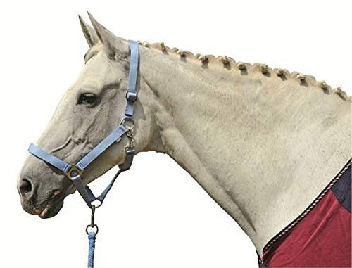 HKM Stars Economy Head collar Pastel Yellow Extra Full