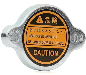 Japko 33C19