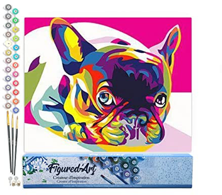 Figured'Art Peinture par Numéro Adulte Carlin Pop Art - Activité Manuelle Kit de Loisir Créatif DIY Numéro d'Art Complet - 40x50cm sans châssis en bois