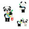 Digital Photo Storage Devices - 16 GB USB Flash Drive - Cool Pen Drive - Storage Drive (Panda)