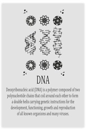 DNA Medizinisches Poster, Leinwand-Poster, Schlafzimmer-Dekor, Sportlandschaft, Büro, Raumdekoration, Geschenk, ungerahmt: 30 x 45 cm