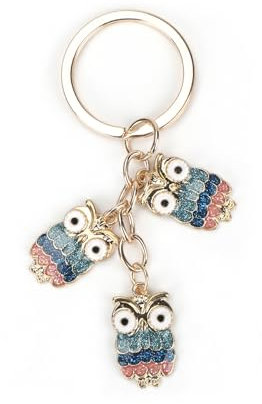 Personalisierter Schlüsselanhänger Mit Buntem Eulen-Anhänger Aus Edelstahl, Geschenk Für Frauen, Insbesondere Zum Geburtstag Oder Zur Einschulung Von Mädchen Und Als Abschiedsgeschenk Für Kollegen