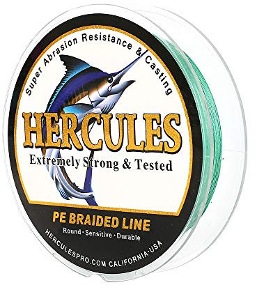 Hercules Super Cast 300M 328 Yards Braided Fishing Line 50 LB Test for Saltwater Freshwater PE Braid Fish Lines Superline 8 Strands - Green, 50LB (22.7KG), 0.37MM
