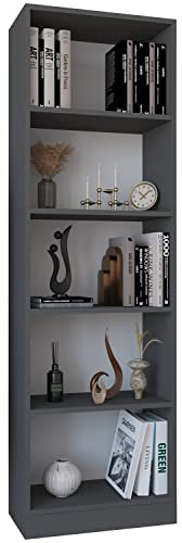 VCM Holz Aufbewahrung Stand Regal Bücherregal Deko Bücher Standregal Dilos XL 5-Fach Anthrazit
