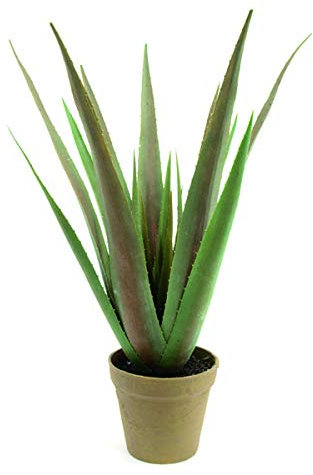 artplants.de Deko Aloe Vera Pflanze im Übertopf, 18 Blätter, 55cm - Kunstpflanze Aloe Vera - Deko Sukkulente