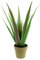 artplants.de Deko Aloe Vera Pflanze im Übertopf, 18 Blätter, 55cm - Kunstpflanze Aloe Vera - Deko Sukkulente