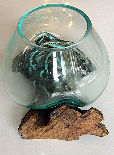 Vase en Verre Finement soufflé sur Une Racine de Teck – Bol de 12 à 13 cm de diamètre – Idéal pour Les Fleurs ou Un Terrarium d'intérieur – chacun Unique