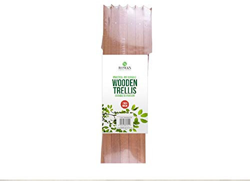 MD MUZ Light Wood/tan Wood 5ft x 2ft EXPANDING WOODEN TRELLIS Garden Climbing Plant Rose Flower Wood