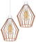 DC VOLTAGE | Industrial 2 Pack of Lamp Shade Wire Frame Cage | Metal 19 cm Width Rose Gold Geometric Ceiling Easy Fit Lamp Shades for Pendant Lights, Home Decor