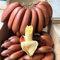 50 pcs bananen samen winterhart obstsamen pflanzen winterhart draußen (Musa Basjoo) zwergobstbäume seeds exotische pflanzen winterhart samen hochbeet säulenobst winterhart garten geschenke