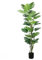 Gerimport Planta Monstera x 30-200CM