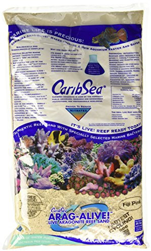 Carib Sea Arag-Alive 20 lb Fiji Pink Sand