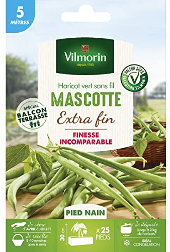 Vilmorin Haricot Mascotte 5 m | Compact, Extra‑fin, Facile cueillir, Valeur sûre, Savoureux